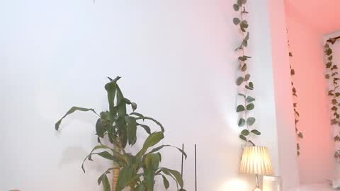 Snapshot of tommyfoxboy chatting on March 5, 2025, 5:18 pm Tommy Foxboy online show from March 5, 2025, 5:18 pm