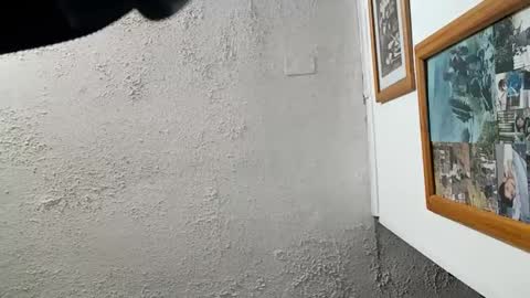 Tommy online show from November 23, 2025, 8:14 am