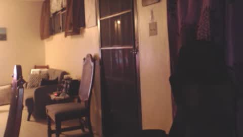 Antonio online show from November 11, 2025, 2:22 am