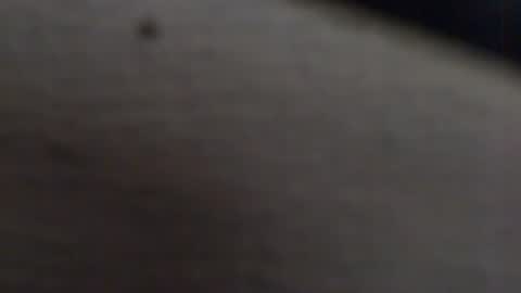 Snapshot of tony2700targa chatting on January 13, 2025, 3:47 pm tony2700targa online show from January 13, 2025, 3:47 pm