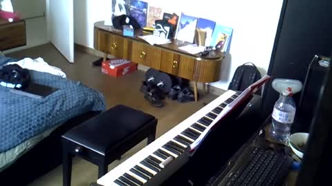 tootsybird69 online show from June 16, 2026, 5:59 pm