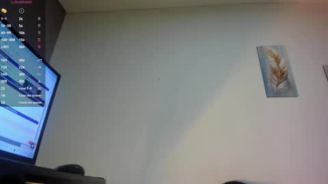 Snapshot of toower_ chatting on February 26, 2026, 3:05 am T O W E R online show from February 26, 2026, 3:05 am