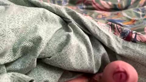 Snapshot of tos12345 chatting on November 21, 2025, 12:15 pm tos12345 online show from November 21, 2025, 12:15 pm