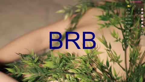 Snapshot of toshimori chatting on December 20, 2024, 4:14 pm Toshi online show from December 20, 2024, 4:14 pm