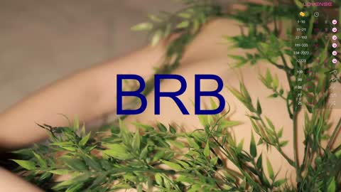 Snapshot of toshimori chatting on January 27, 2025, 4:11 pm Toshi online show from January 27, 2025, 4:11 pm