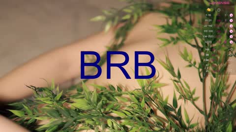 Snapshot of toshimori chatting on February 23, 2025, 4:13 pm Toshi online show from February 23, 2025, 4:13 pm