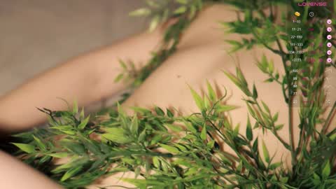 Snapshot of toshimori chatting on September 17, 2025, 1:02 pm Toshi online show from September 17, 2025, 1:02 pm