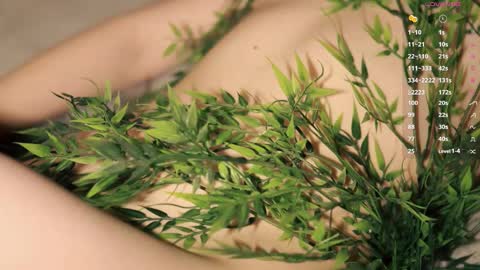 Snapshot of toshimori chatting on December 1, 2025, 1:05 pm Toshi online show from December 1, 2025, 1:05 pm