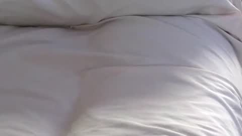 Jim online show from January 31, 2025, 5:21 pm