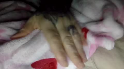 toxicanikki online show from January 8, 2026, 8:05 am