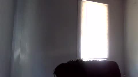 toxicanikki online show from February 4, 2026, 8:36 pm