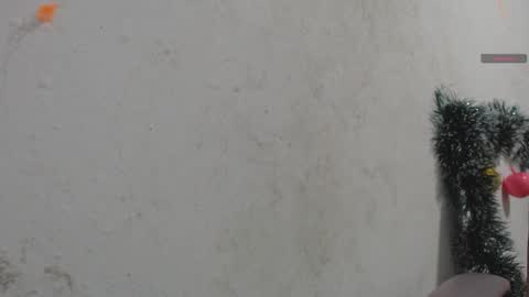 toxca69 online show from January 7, 2026, 4:59 am