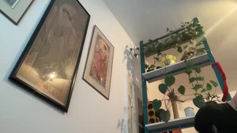 Snapshot of toybdsmguy chatting on December 28, 2024, 8:37 am toybdsmguy online show from December 28, 2024, 8:37 am