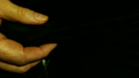 Snapshot of trailblazer1969 chatting on October 8, 2025, 3:59 am trailblazer1969 online show from October 8, 2025, 3:59 am