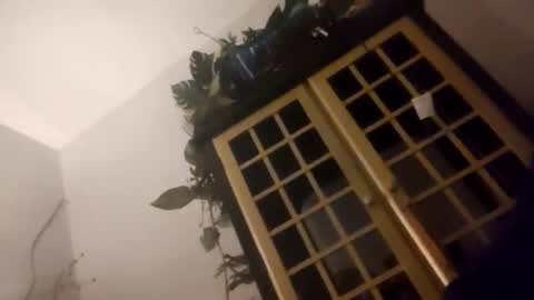 trans167456 online show from December 19, 2025, 9:49 am