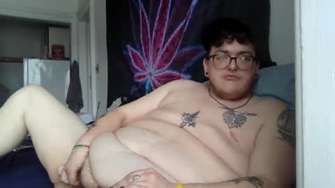 transmalebear online show from February 11, 2025, 6:33 pm