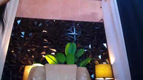 Snapshot of transpornidol chatting on December 14, 2024, 4:31 pm transpornidol online show from December 14, 2024, 4:31 pm