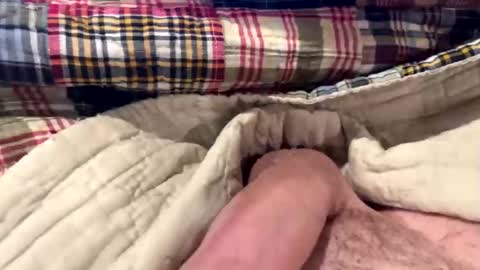 tree553 online show from December 28, 2024, 6:50 pm