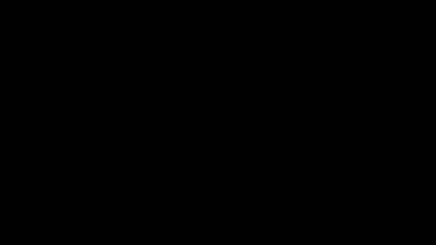 Snapshot of treimann chatting on January 21, 2025, 7:47 am Thorcci online show from January 21, 2025, 7:47 am