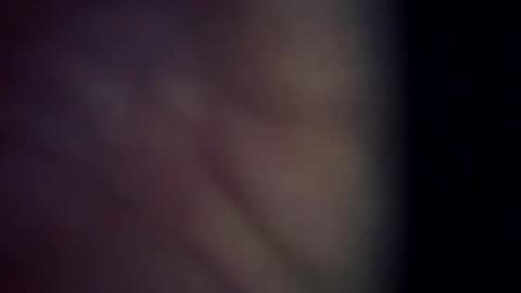 trex23rd online show from March 6, 2026, 11:39 am