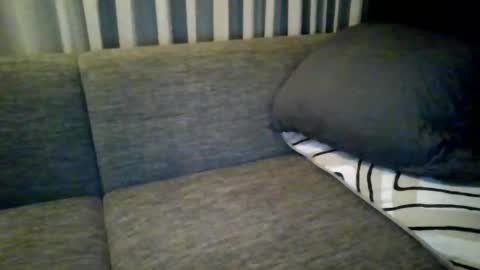 triciawu22 online show from December 8, 2024, 1:36 pm