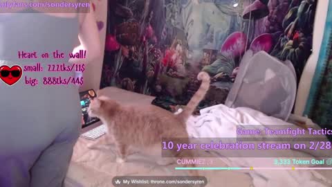 Snapshot of tricky_nymph chatting on February 26, 2026, 7:46 pm Cassie online show from February 26, 2026, 7:46 pm
