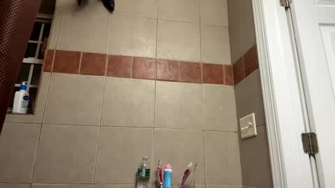 WapBopper online show from February 11, 2025, 12:06 am