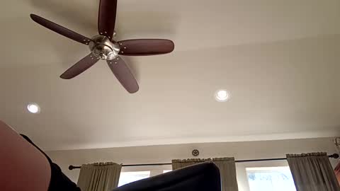 trillnonymau5 online show from December 21, 2024, 6:34 pm