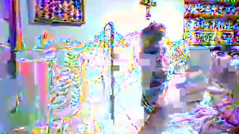 trillnonymau5 online show from January 17, 2025, 7:08 am