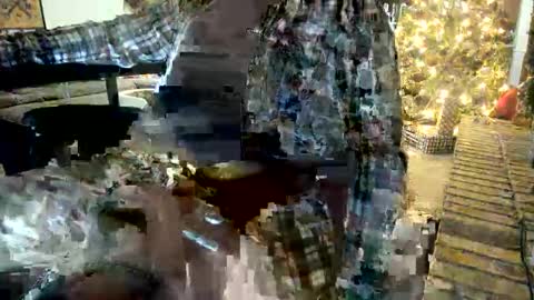 BWD online show from December 17, 2025, 12:27 am