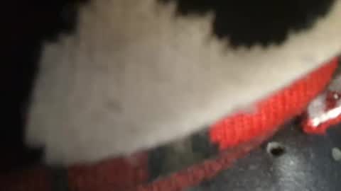 Snapshot of trobelle chatting on December 26, 2024, 1:43 pm trobelle online show from December 26, 2024, 1:43 pm