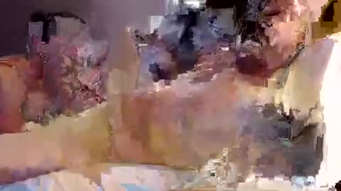 Snapshot of trojanswingers chatting on February 11, 2025, 5:29 pm trojanswingers online show from February 11, 2025, 5:29 pm