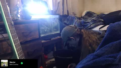 trooper0690 online show from February 12, 2026, 6:14 pm