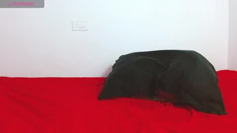 Snapshot of troy_walker7 chatting on June 28, 2026, 6:03 pm sebas online show from June 28, 2026, 6:03 pm