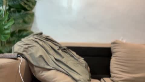 kendall online show from September 17, 2025, 7:37 pm