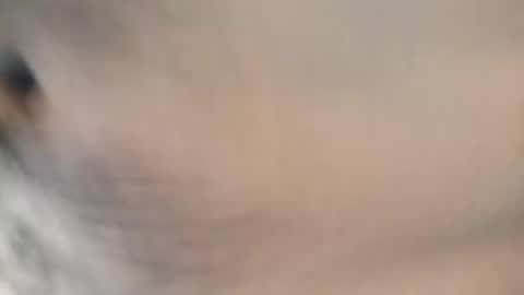 ttimmyt online show from November 8, 2025, 8:07 pm