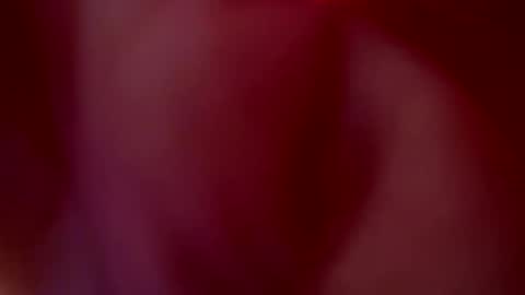 JULIETA  online show from October 20, 2025, 1:06 am