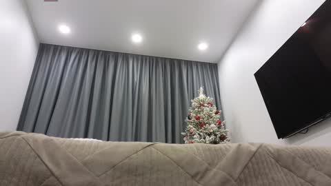 Ariana online show from December 16, 2024, 2:25 am