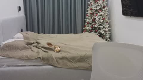 Ariana online show from December 30, 2024, 12:11 am