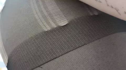 Ariana online show from February 6, 2025, 12:00 am