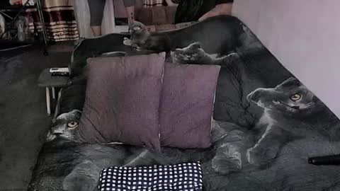 Lana online show from March 30, 2026, 12:11 am