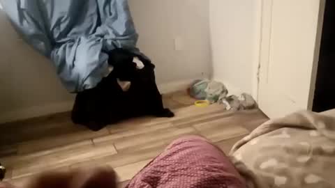 Snapshot of twest84 chatting on September 14, 2025, 8:46 am twest84 online show from September 14, 2025, 8:46 am