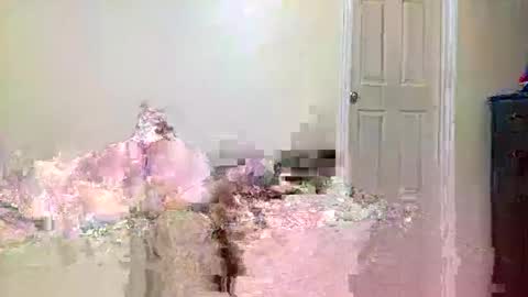 twinflamecaps online show from April 9, 2026, 8:20 am