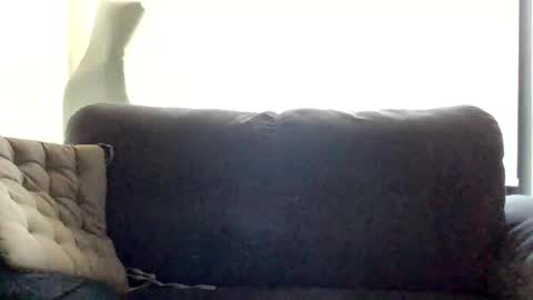 Nick online show from January 8, 2025, 2:46 am