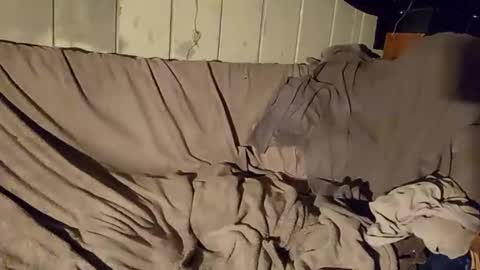 Snapshot of twistedblizzy chatting on January 22, 2025, 6:20 pm TwistedBlizzy online show from January 22, 2025, 6:20 pm