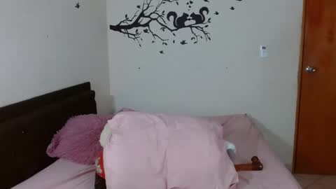 Snapshot of tyfanny19 chatting on February 12, 2025, 9:11 pm tyfanny19 online show from February 12, 2025, 9:11 pm