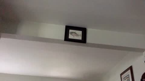 Snapshot of tylerdurden256 chatting on February 8, 2025, 6:12 pm Tyler Durden online show from February 8, 2025, 6:12 pm