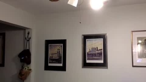 Snapshot of tylerdurden256 chatting on February 14, 2025, 2:07 am Tyler Durden online show from February 14, 2025, 2:07 am