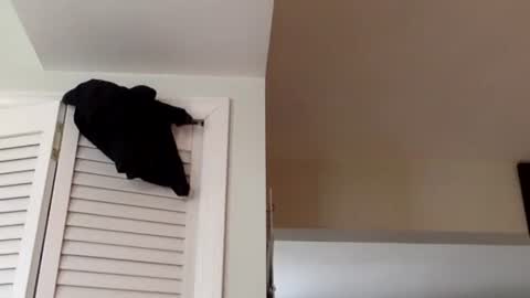 Snapshot of tylerdurden256 chatting on March 2, 2025, 1:38 pm Tyler Durden online show from March 2, 2025, 1:38 pm