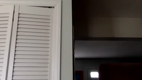 Snapshot of tylerdurden256 chatting on March 2, 2025, 7:45 pm Tyler Durden online show from March 2, 2025, 7:45 pm